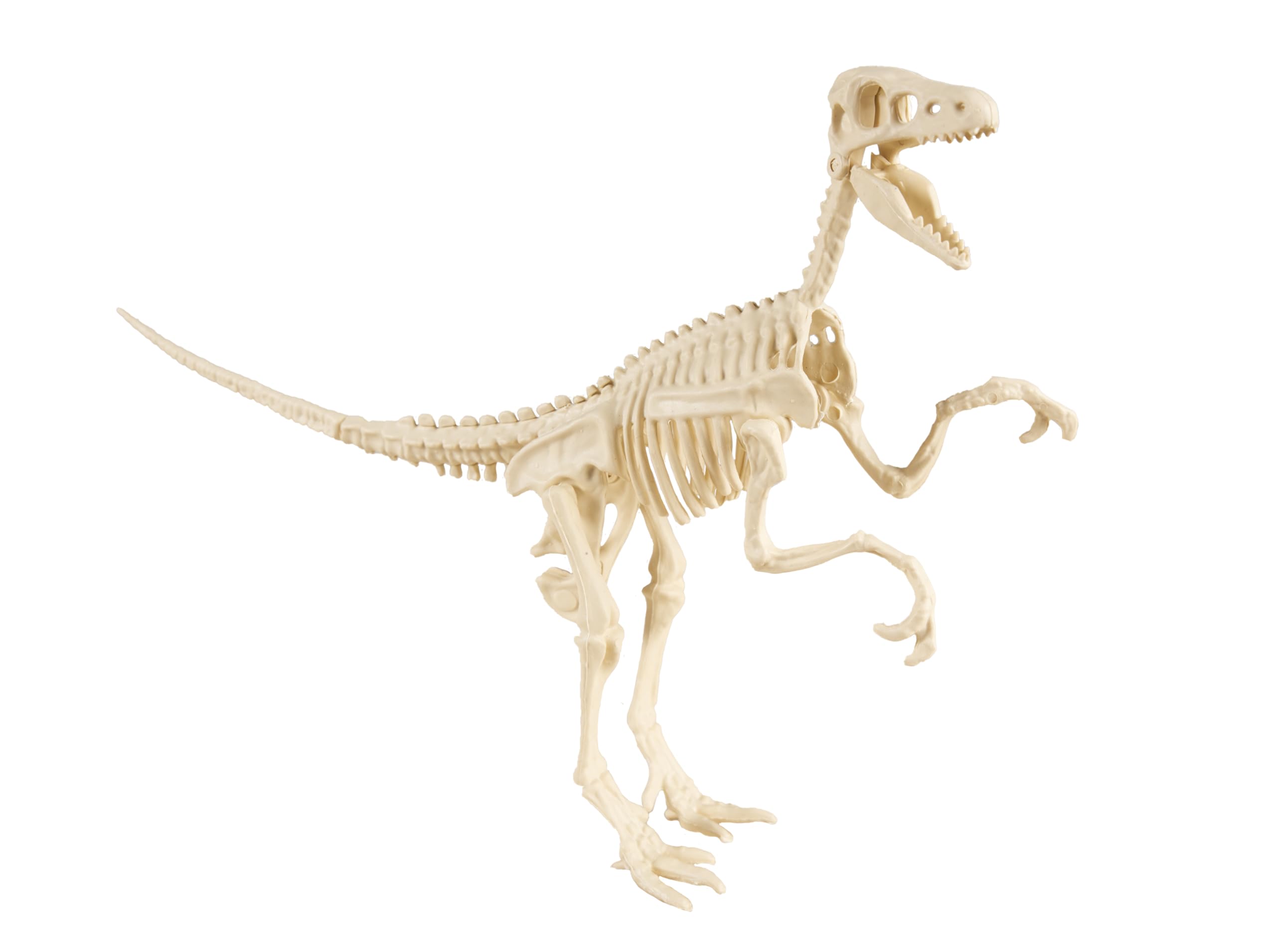 ptit-clown-dinosaurier-skelett-zufallsmodell-deko image 4