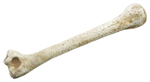 ptit-clown-pr-historischer-h-hlenknochen-28cm-kost-m-accessoire image 4