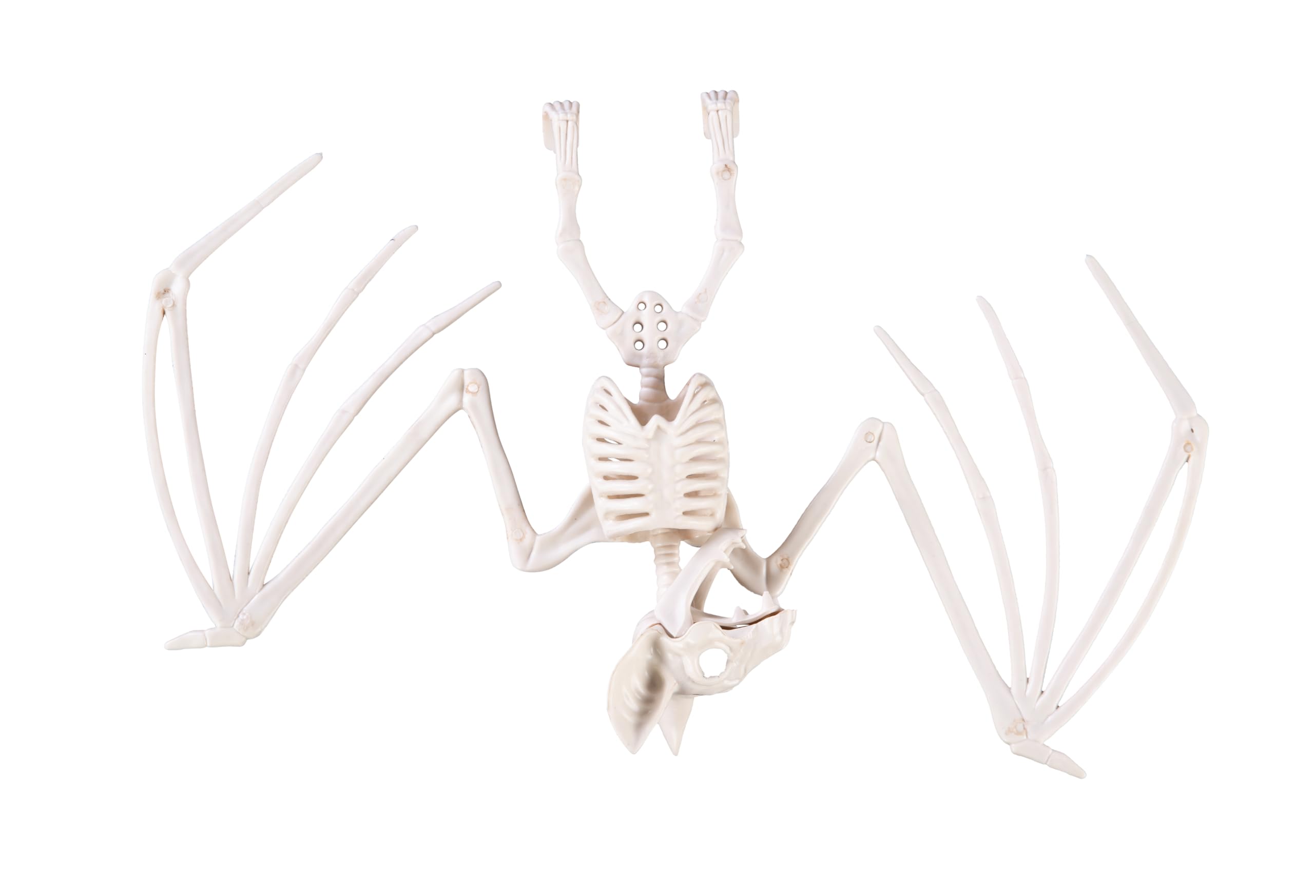p-tit-clown-22239-fledermaus-skelett-kunststoff-16-x-30-cm-halloween-dekoration image 1
