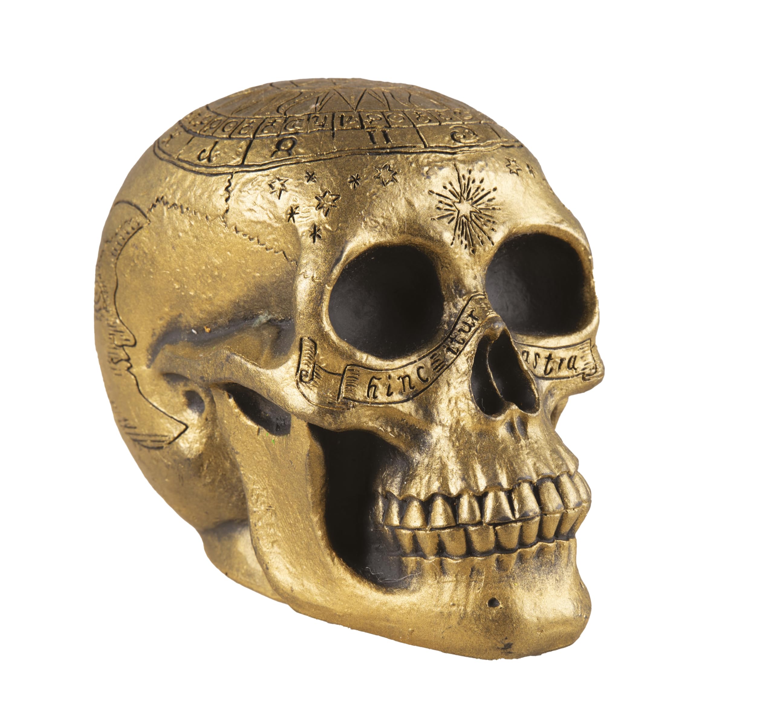 p-tit-clown-re23012-skelett-sch-del-gold-verziert-20-cm-deko-totenkopf image 1