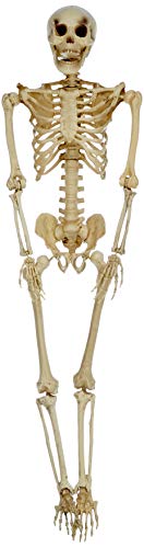 ptit-clown-h-ngeskelett-165-cm-kunststoff-halloween-dekoration image 5
