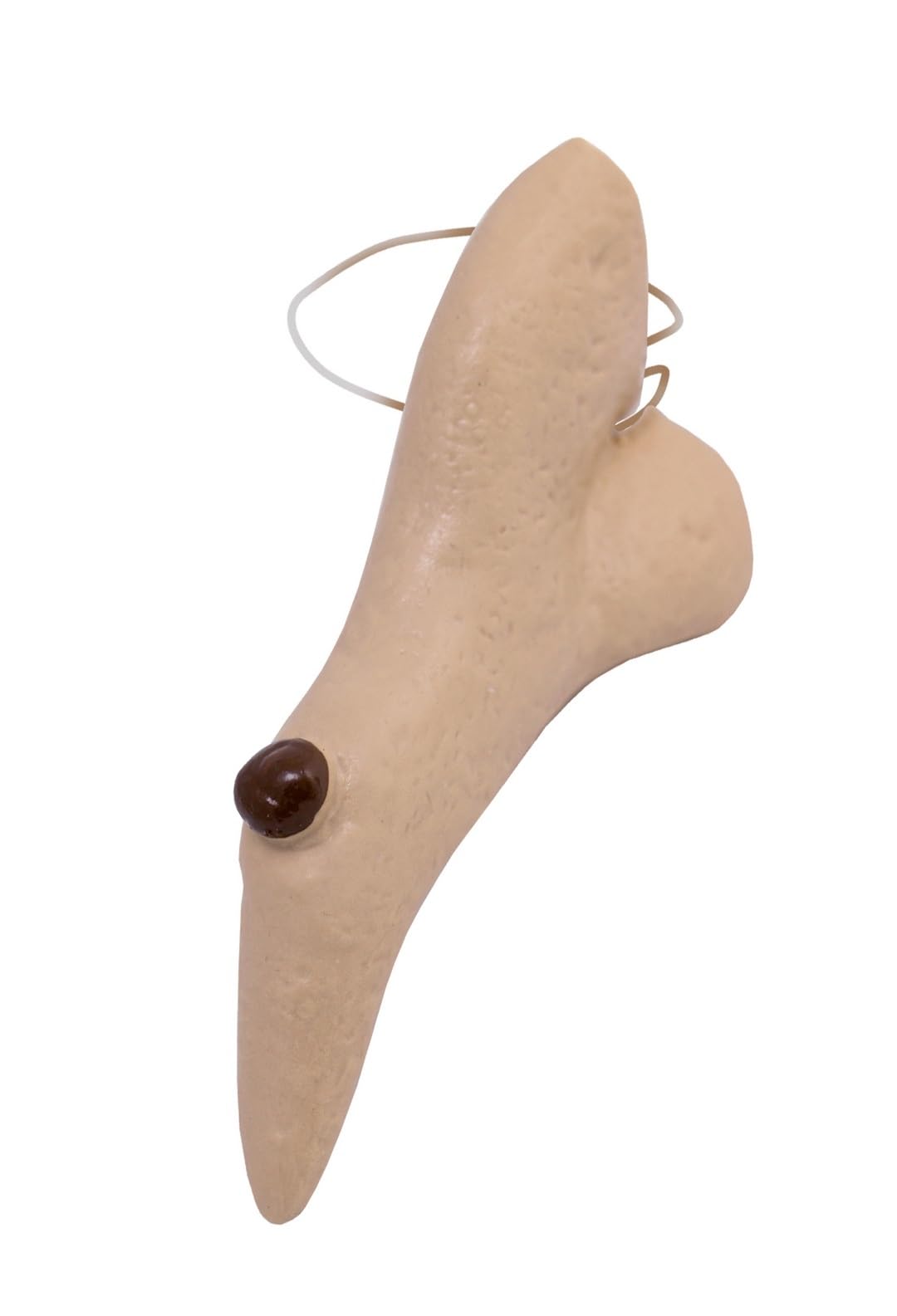 p-tit-clown-hexennase-mit-warze-erwachsenen-accessoire image 2