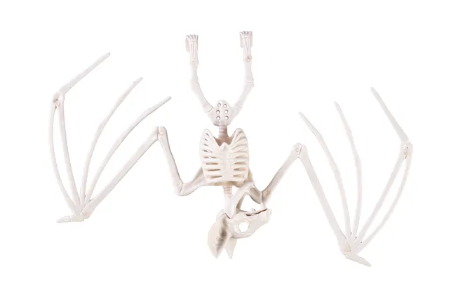 p-tit-clown-22239-fledermaus-skelett-kunststoff-16-x-30-cm-halloween-dekoration image 1