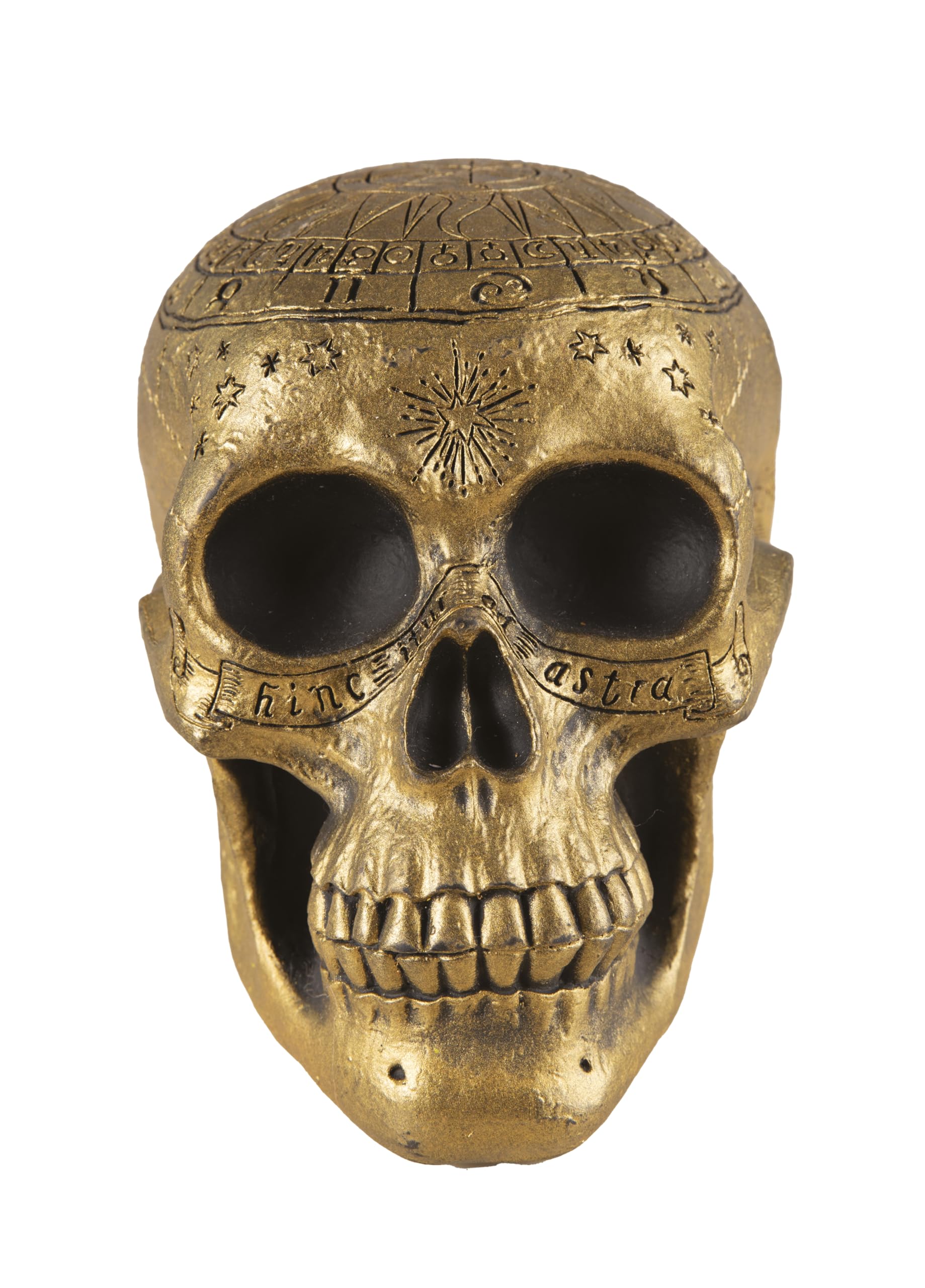 p-tit-clown-re23012-skelett-sch-del-gold-verziert-20-cm-deko-totenkopf image 2