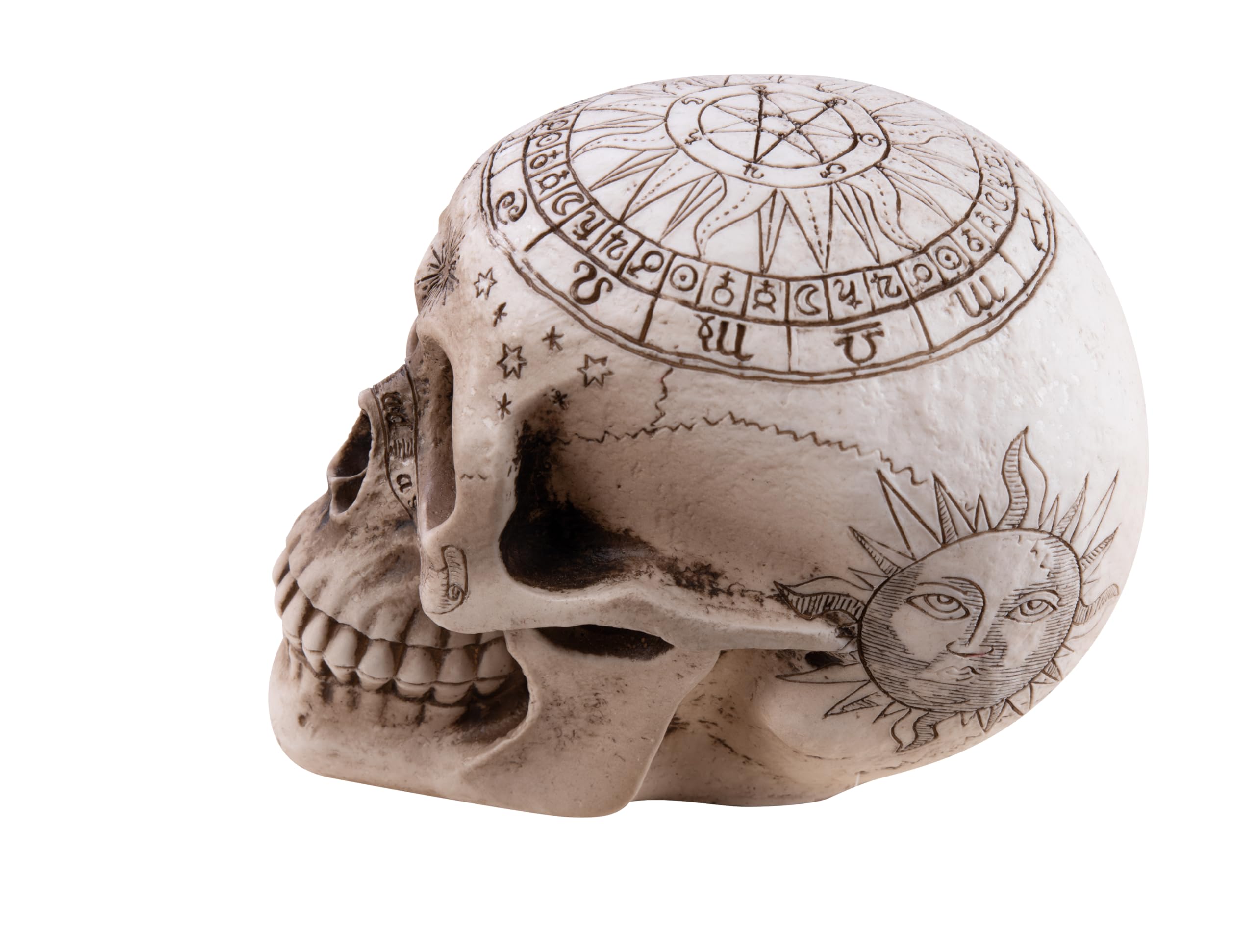 ptit-clown-deko-totenkopf-zum-hinstellen-20-cm-halloween-dekoration-aus-der-vood image 3