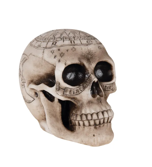 ptit-clown-deko-totenkopf-zum-hinstellen-20-cm-halloween-dekoration-aus-der-vood image 1