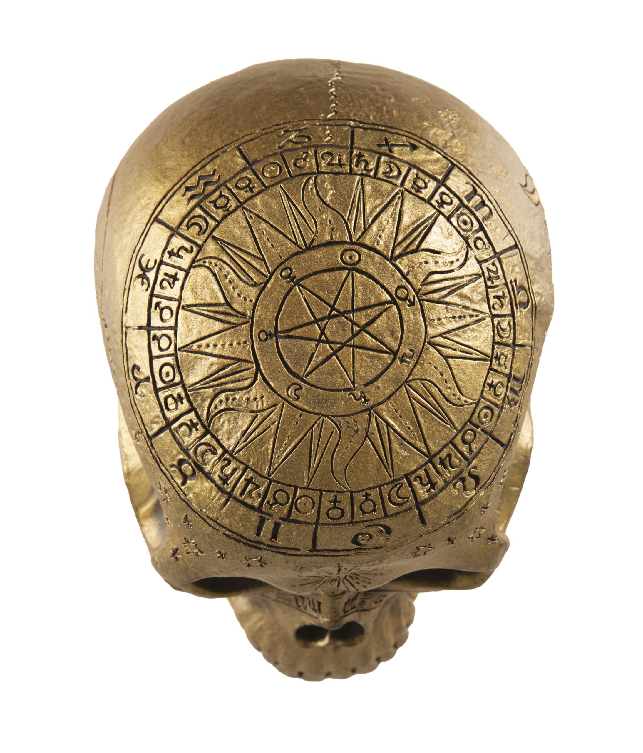 p-tit-clown-re23012-skelett-sch-del-gold-verziert-20-cm-deko-totenkopf image 3