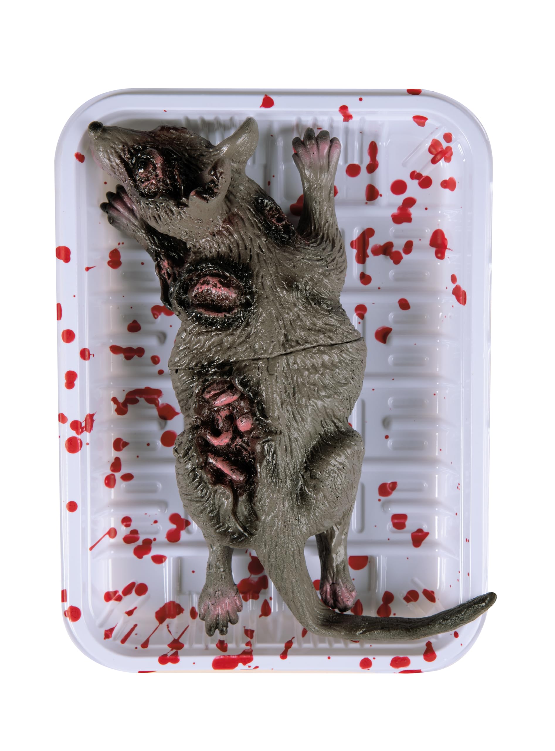 p-tit-clown-23586-verwesende-ratte-auf-blutschale-halloween-deko image 1
